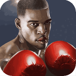 Game cover Punch Boxing 3D